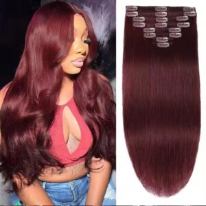 99J Burgundy Straight Clip-In Hair Extensions