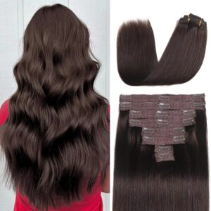 Dark Brown #2 Bone Straight Clip-In Hair Extensions